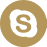 Skype call